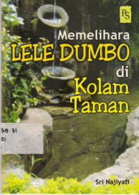 Memelihara Lele Dumbo Di Kolam Taman