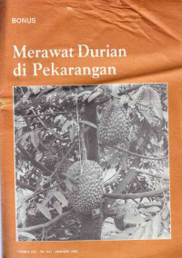 Bonus Merawat Durian Di Pekarangan