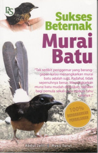 Sukses Beternak Murai Batu