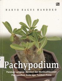 Pachypodium