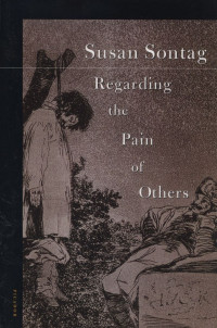 Regarding the Pain of Others