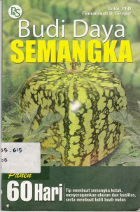 Budi Daya Semangka Panen 60 Hari