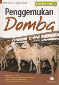 Penggemukan Domba