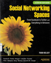 Social Networking Spaces : From Facebook to Twitter and Everything in Between