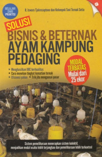 Solusi Bisnis Dan Beternak Ayam Kampung Pedaging